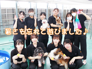 ドッグランでモデル犬とプール♪～２日目～